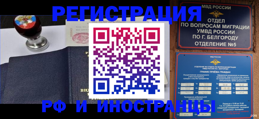 временная регистрация поиск в Курчалом